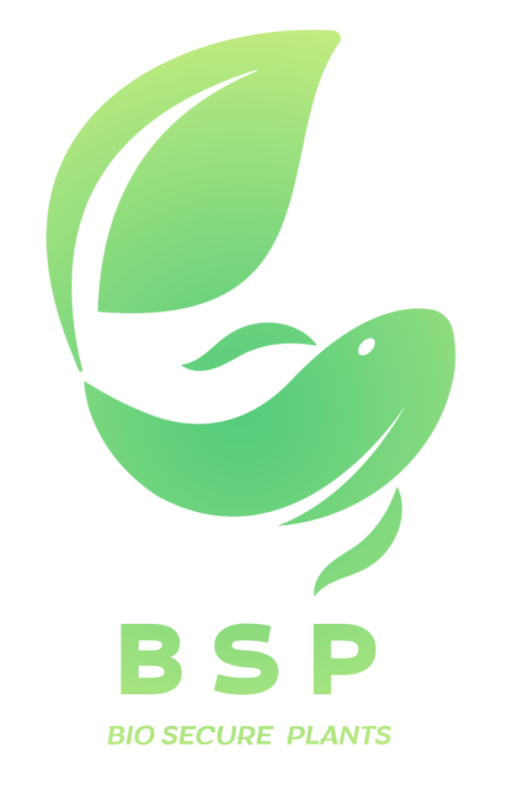 Plantas BSP