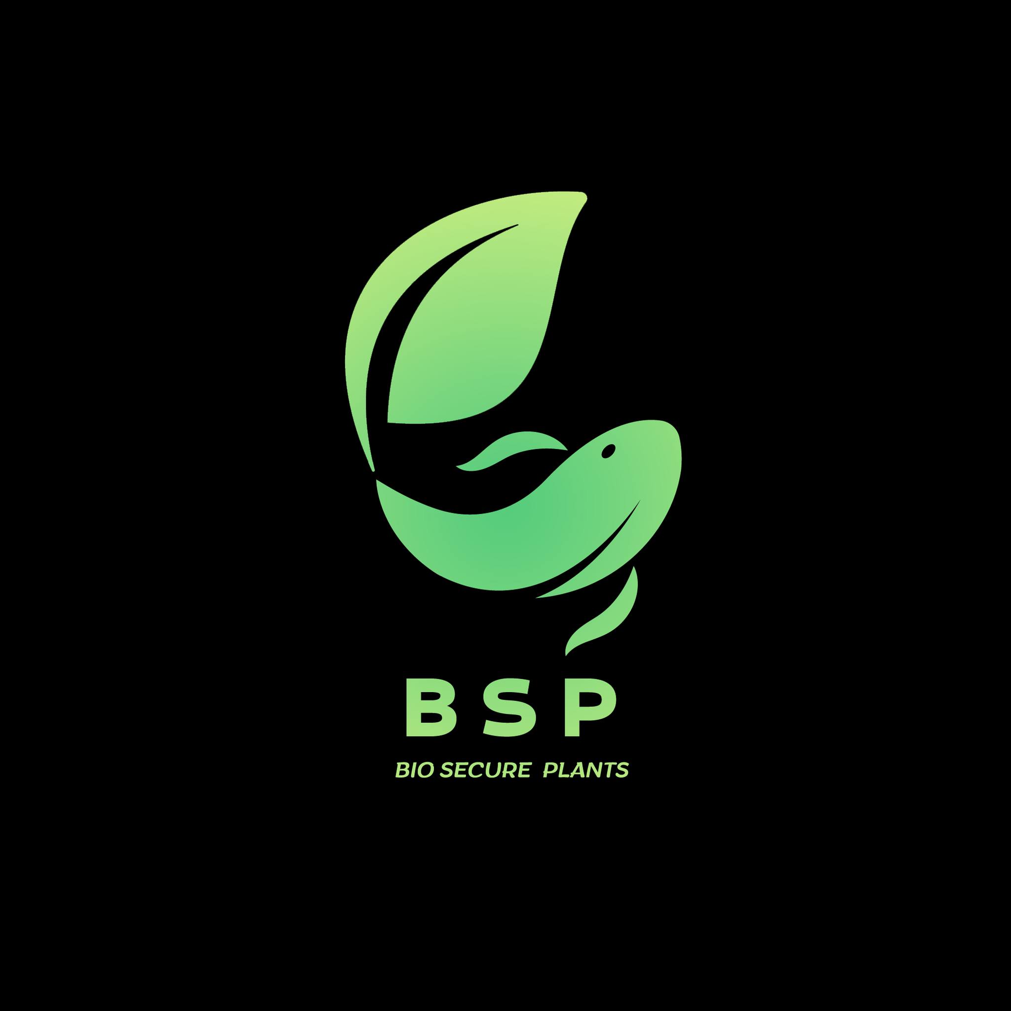 Plantas BSP