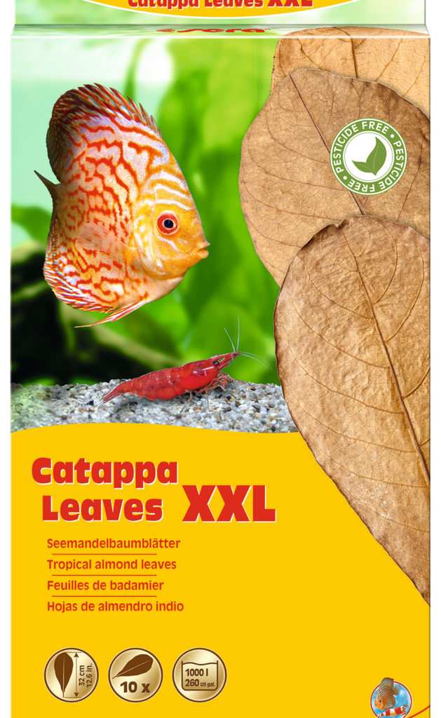 Embalagem sera Catappa Leaves XXL com dez folhas de 30 a 35 cm, referência 32275
