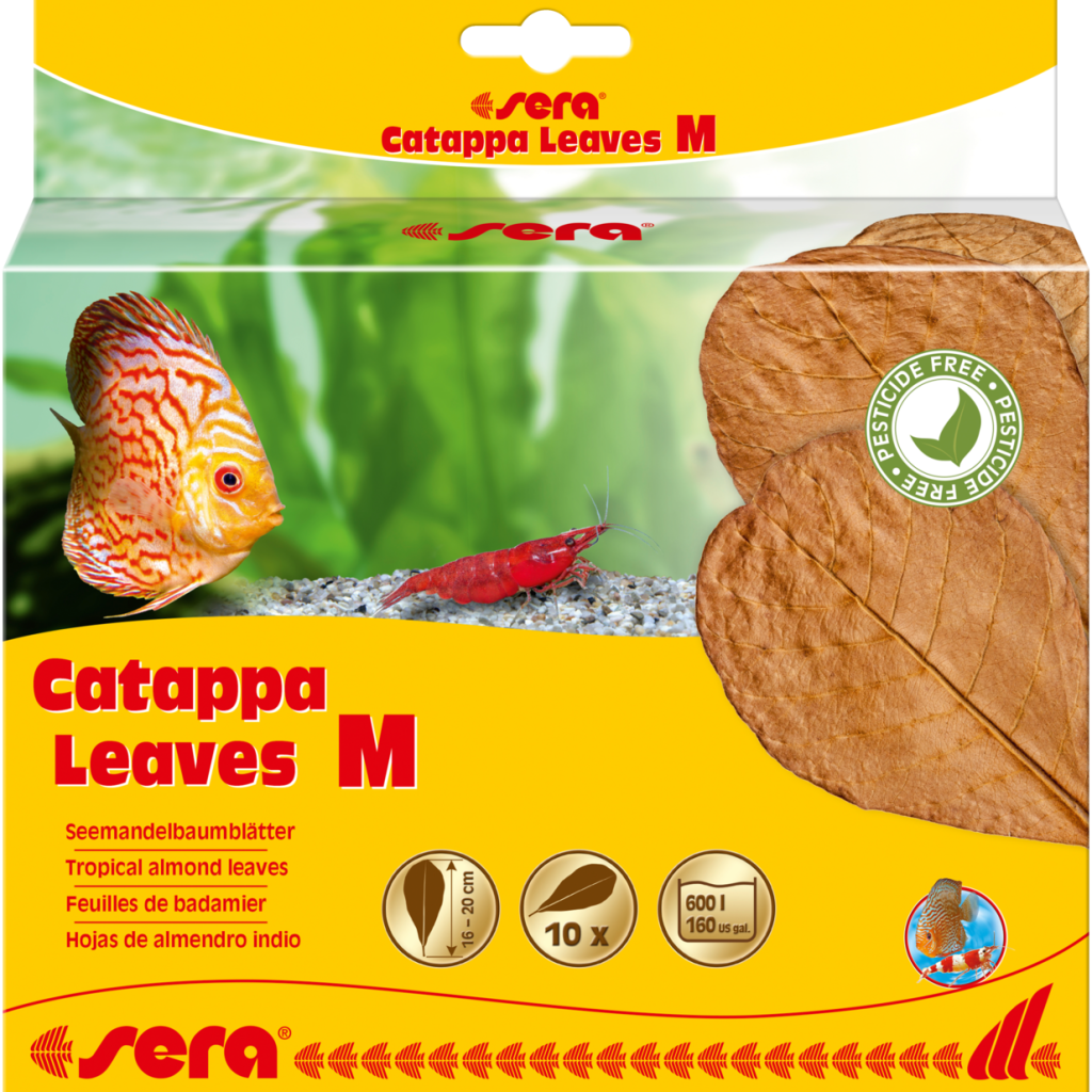 Embalagem sera Catappa Leaves M com dez folhas de 16 a 20 cm, referência 32274