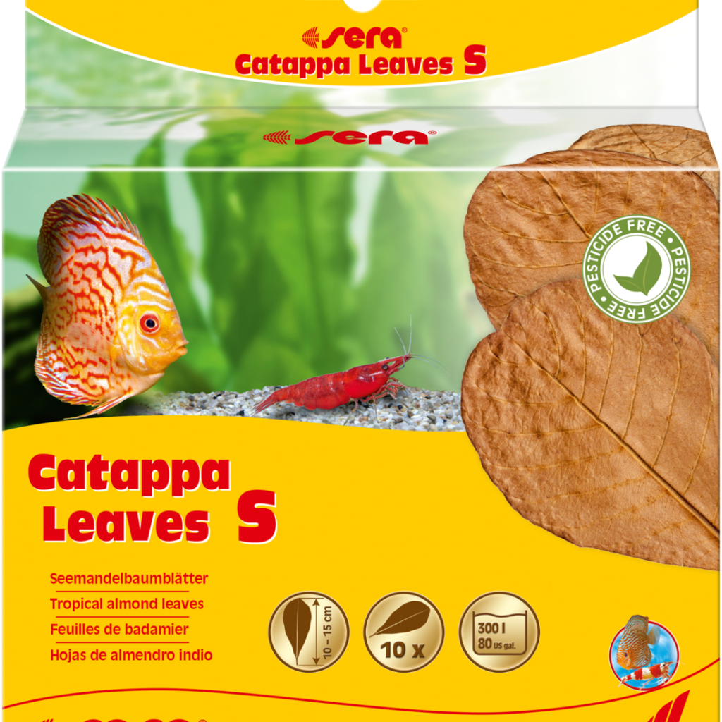 Embalagem sera Catappa Leaves S com dez folhas de 10 a 15 cm, referência 32273