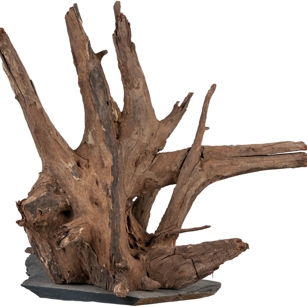 Raiz natural sera Scaper Wood M com base de ardósia, imagem representativa