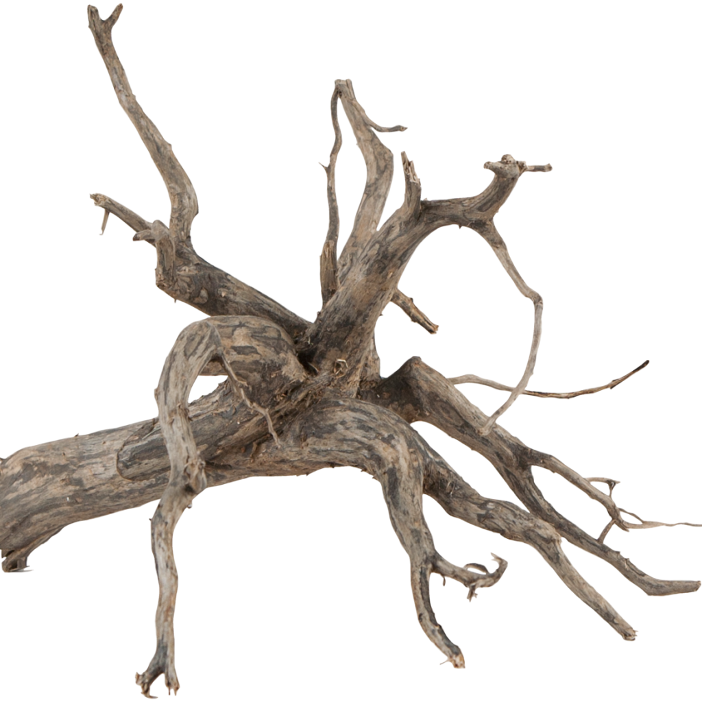 Raiz natural sera Scaper Root M, imagem representativa