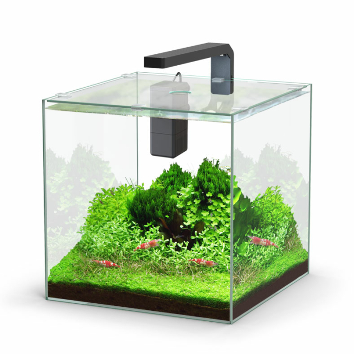 Aquatlantis Kubus 22L com iluminação e filtro, composição ilustrativa