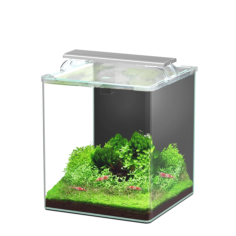 Aquário Aquatlantis KUBUS CURVE 30L Essential com iluminação; decoração ilustrativa