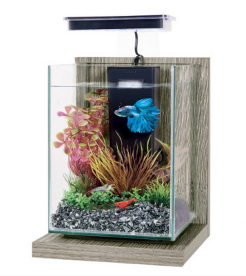 Nano aquário Zolux Jalaya XXL zebrano cinzento de 31,5 L; decoração e animal ilustrativos