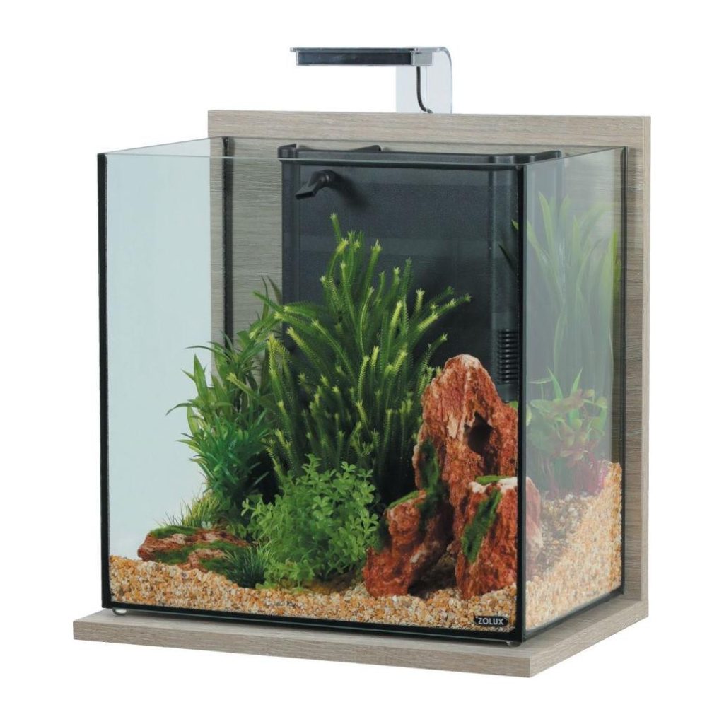 Aquário Zolux IDRO 40 cinzento com base zebrano e equipamento preto; decoração ilustrativa
