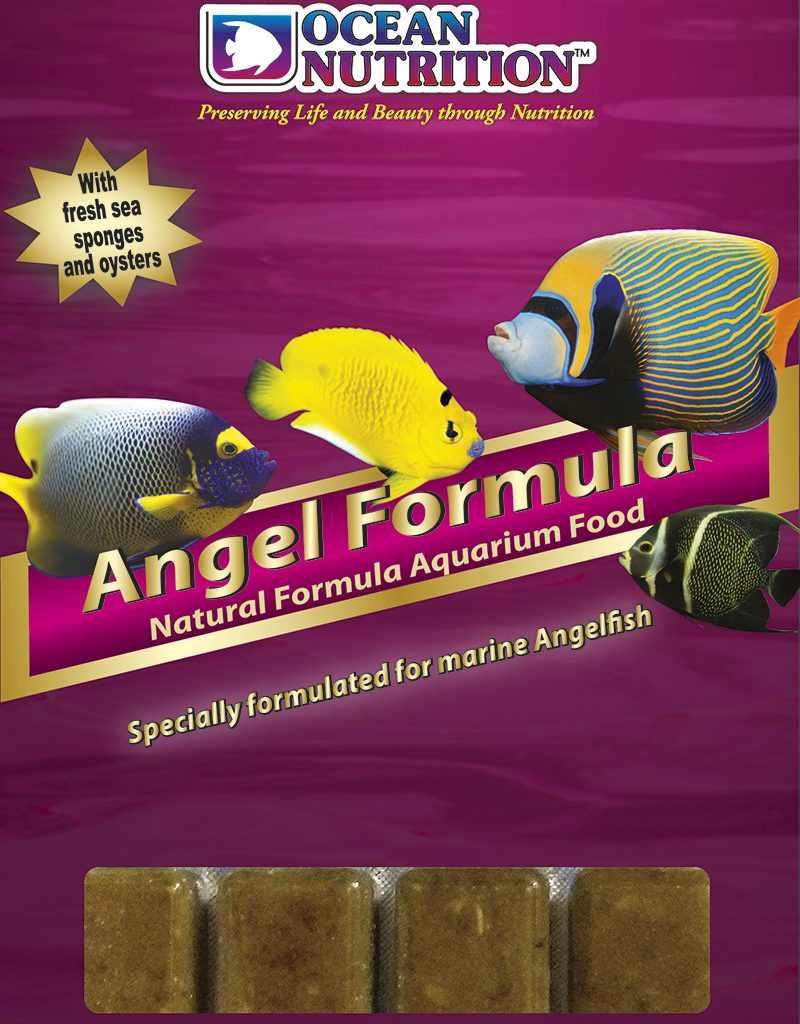 Ocean Nutrition Frozen Angel Formula (20 cubes)