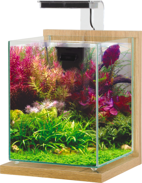 Nano aquário Zolux Jalaya 2 carvalho claro de 10 L; decoração e animal ilustrativos
