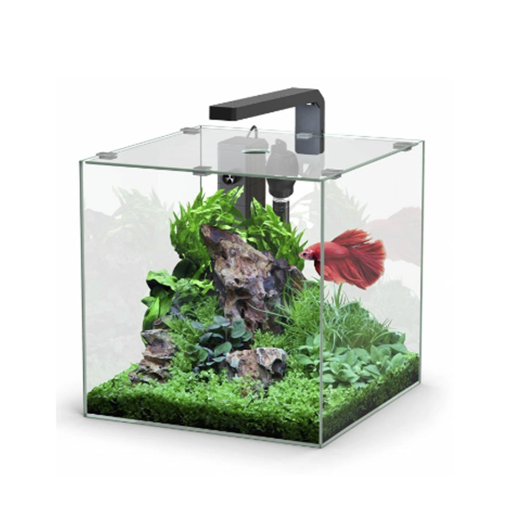 KIT AQUATLANTIS Kubus BETTA 22L