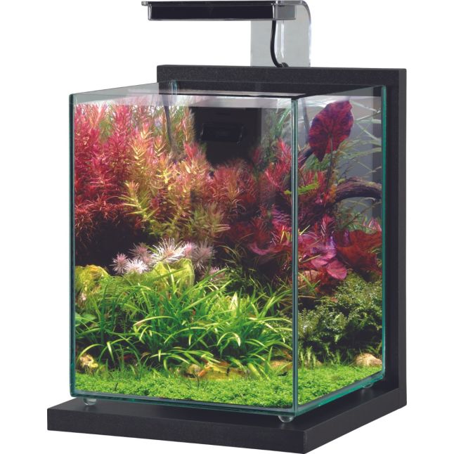 Nano aquário Zolux Jalaya 2 cinzento antracite de 10 L; decoração e animal ilustrativos