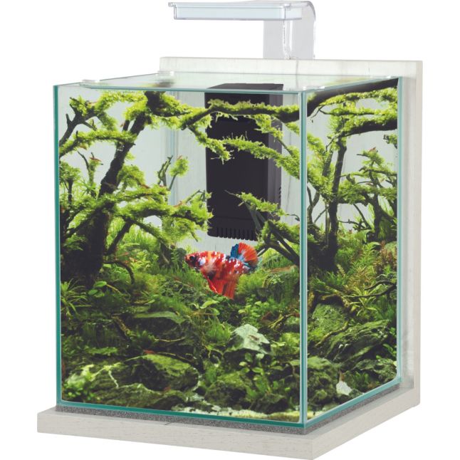 Nano aquário Zolux Jalaya XL branco cérusé de 18,7 L; decoração e animal ilustrativos