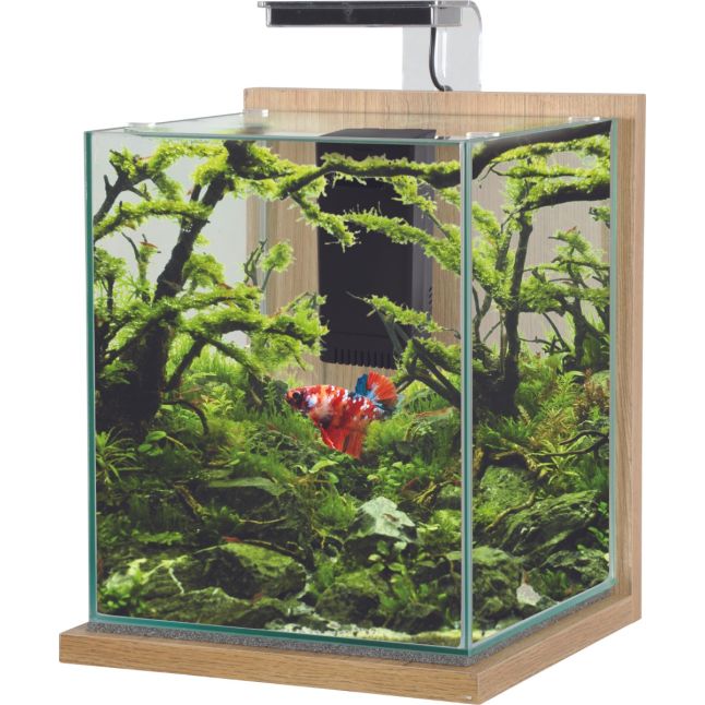 Nano aquário Zolux Jalaya XL carvalho claro de 18,7 L; decoração e animal ilustrativos