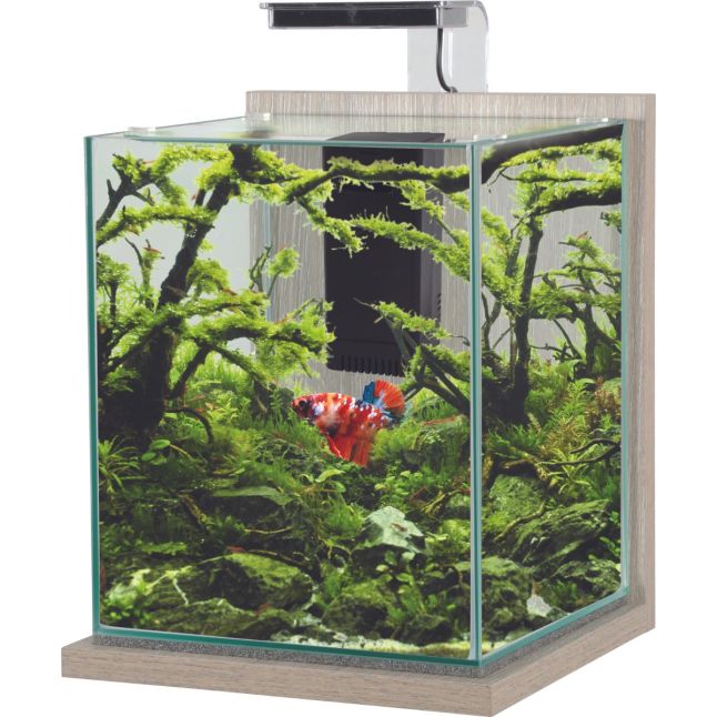 Nano aquário Zolux Jalaya XL zebrano cinzento de 18,7 L; decoração e animal ilustrativos