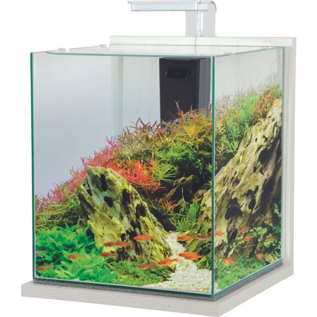 Nano aquário Zolux Jalaya XXL branco cérusé de 31,5 L; decoração e animais ilustrativos
