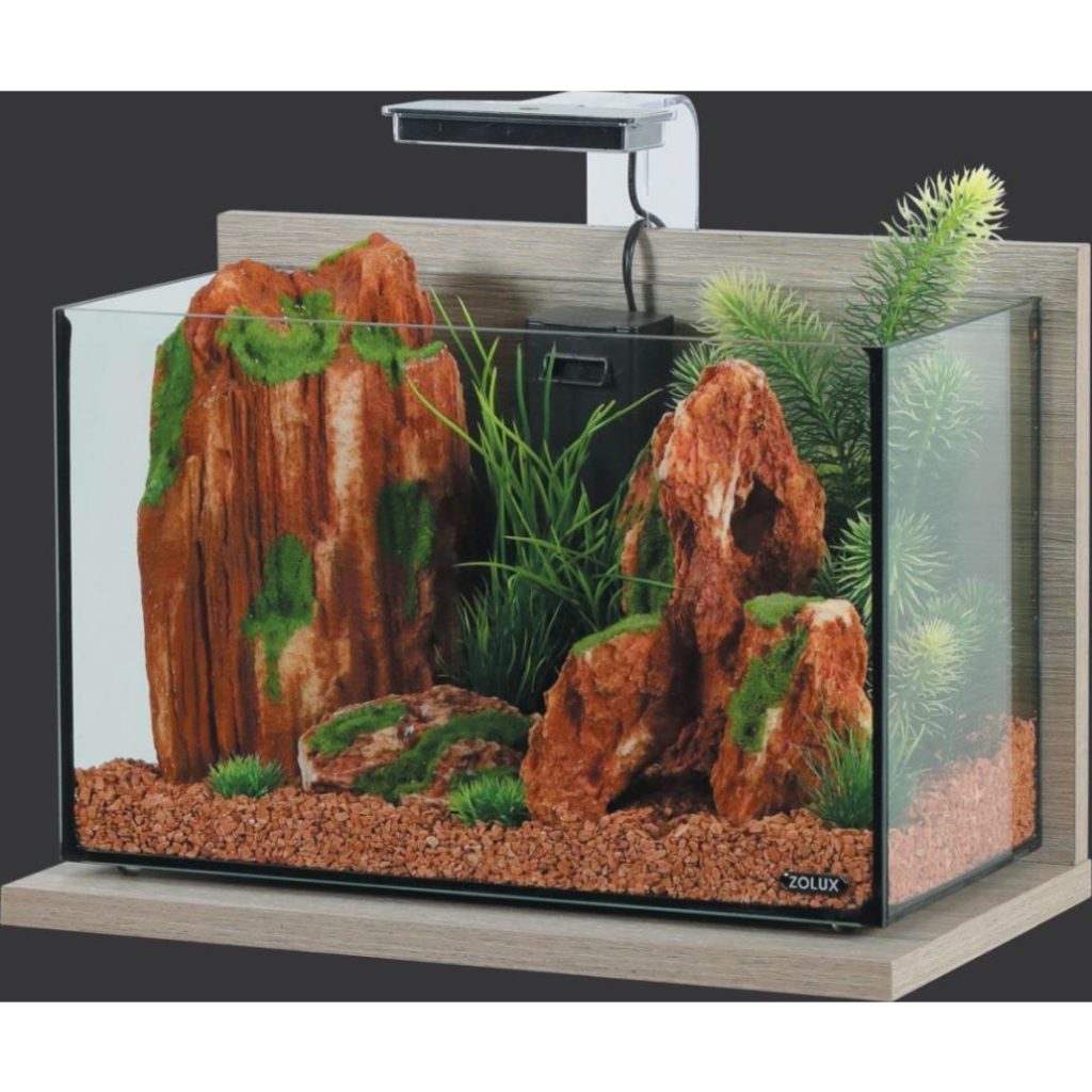 Aquário Zolux IDRO 20 cinzento com base zebrano e equipamento preto; decoração ilustrativa
