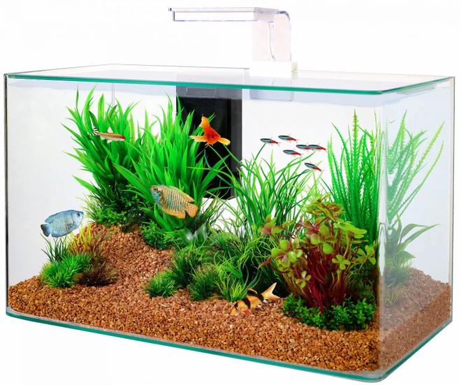 Aquário Zolux Aqua Clear 50 com equipamento branco