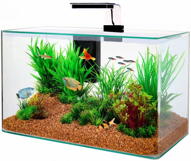 Aquário Zolux Aqua Clear 50 com equipamento preto