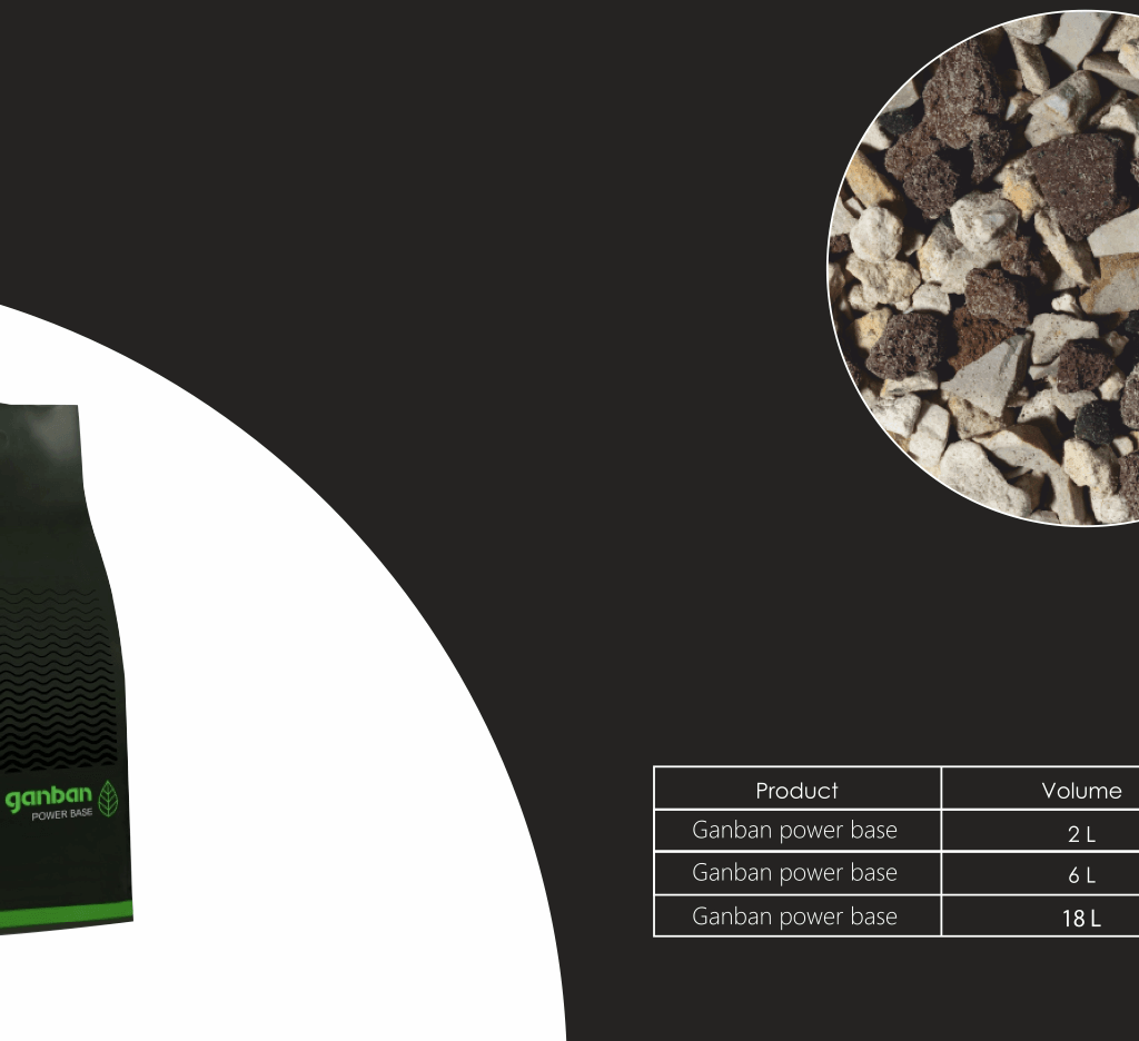 YOKUCHI GANBAN POWER BASE NEW Base of the substrate 6L