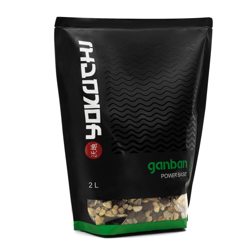 YOKUCHI GANBAN POWER BASE NEW Base of the substrate 2L
