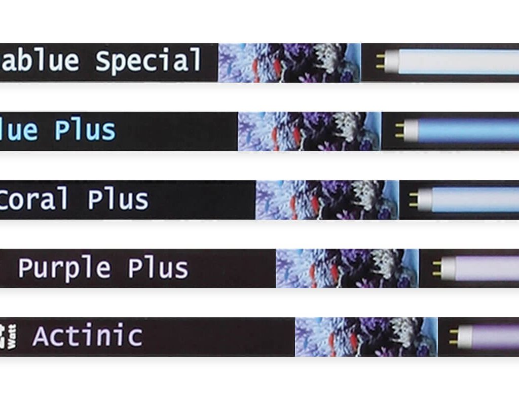 ATI - Actinic Blue T5 Somente disponível para levantamento em loja! | "Potência":"24W"