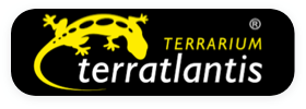 Terrarium Terratlantis